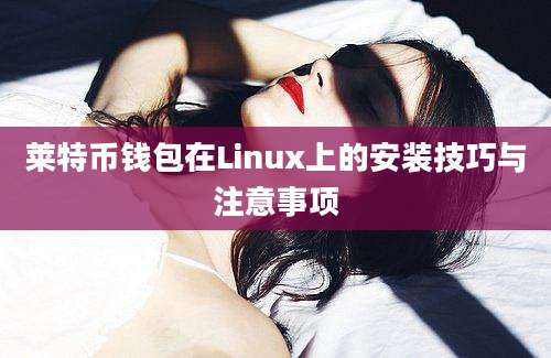 莱特币钱包在Linux上的安装技巧与注意事项