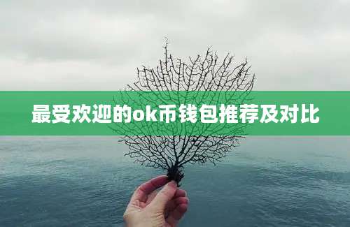 最受欢迎的ok币钱包推荐及对比