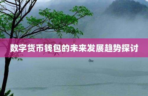 数字货币钱包的未来发展趋势探讨