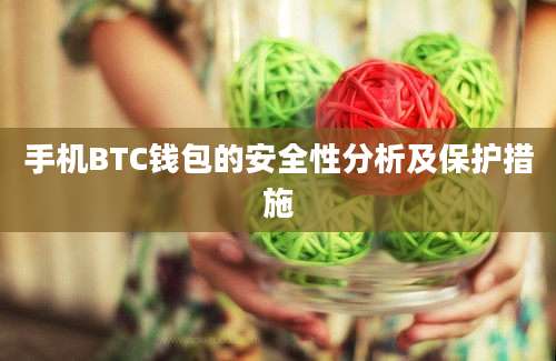 手机BTC钱包的安全性分析及保护措施