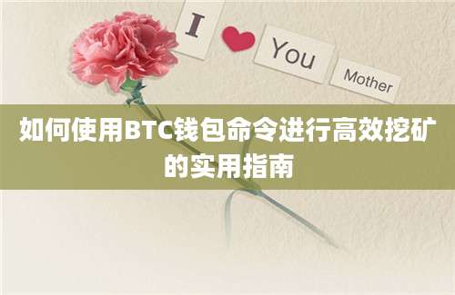 如何使用BTC钱包命令进行高效挖矿的实用指南