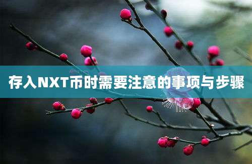 存入NXT币时需要注意的事项与步骤