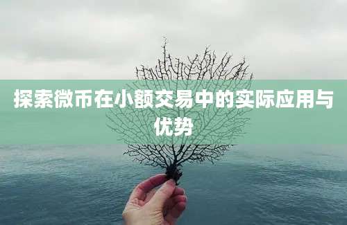 探索微币在小额交易中的实际应用与优势