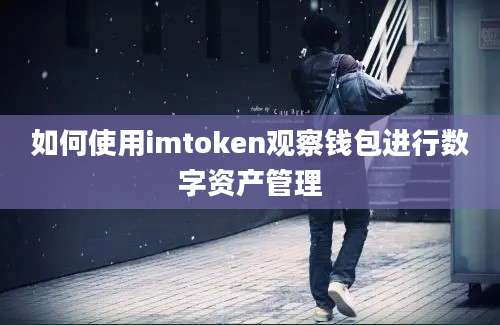 如何使用imtoken观察钱包进行数字资产管理