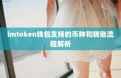 imtoken钱包支持的币种和转账流程解析