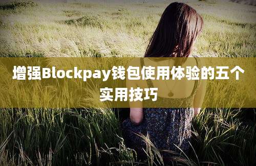 增强Blockpay钱包使用体验的五个实用技巧