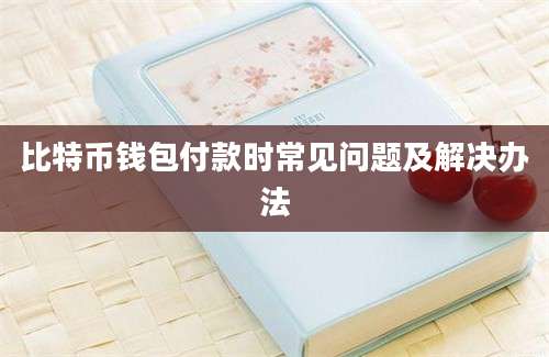 比特币钱包付款时常见问题及解决办法