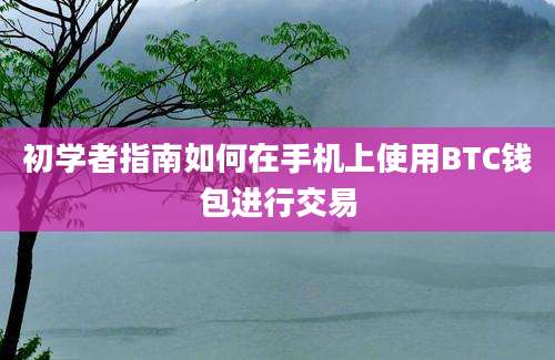 初学者指南如何在手机上使用BTC钱包进行交易