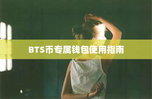 BTS币专属钱包使用指南