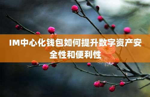 IM中心化钱包如何提升数字资产安全性和便利性