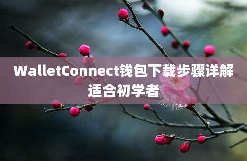 WalletConnect钱包下载步骤详解适合初学者