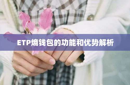 ETP熵钱包的功能和优势解析