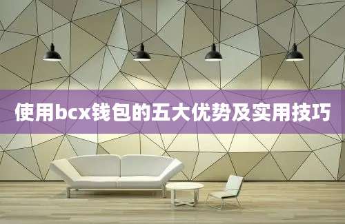 使用bcx钱包的五大优势及实用技巧