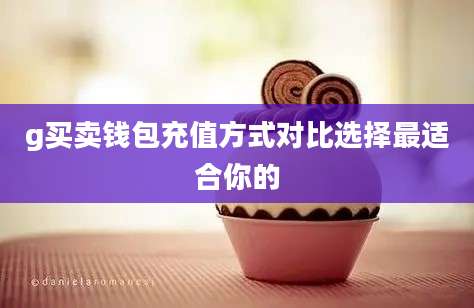 g买卖钱包充值方式对比选择最适合你的