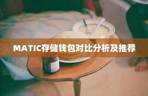 MATIC存储钱包对比分析及推荐