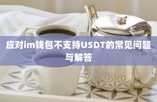 应对im钱包不支持USDT的常见问题与解答