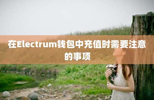 在Electrum钱包中充值时需要注意的事项