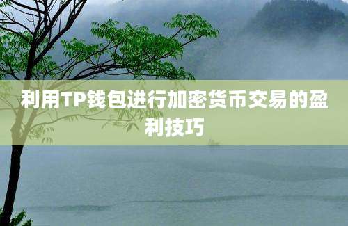 利用TP钱包进行加密货币交易的盈利技巧