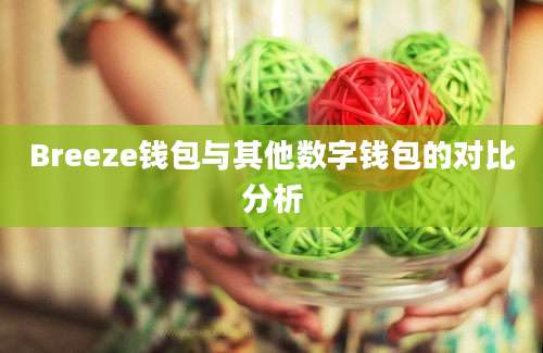 Breeze钱包与其他数字钱包的对比分析