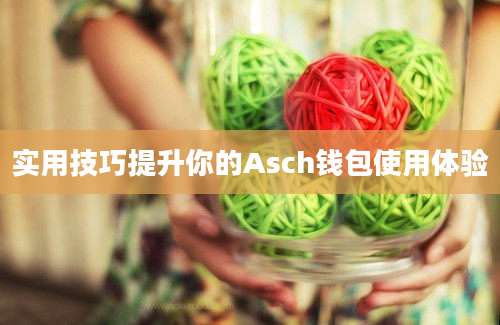 实用技巧提升你的Asch钱包使用体验