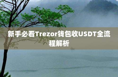 新手必看Trezor钱包收USDT全流程解析