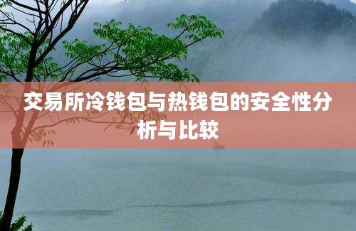 交易所冷钱包与热钱包的安全性分析与比较