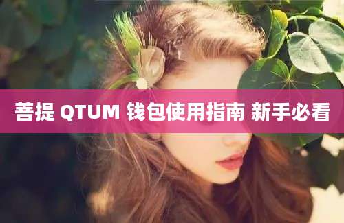 菩提 QTUM 钱包使用指南 新手必看