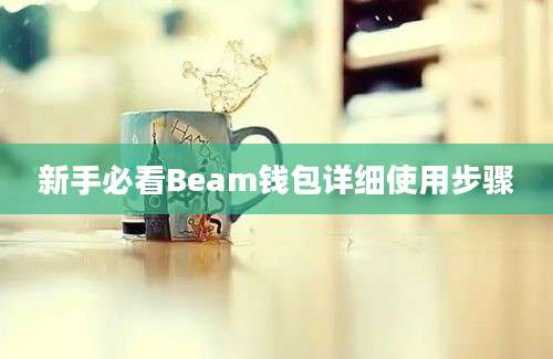 新手必看Beam钱包详细使用步骤