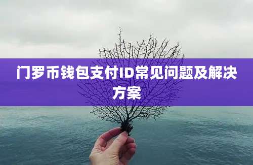 门罗币钱包支付ID常见问题及解决方案