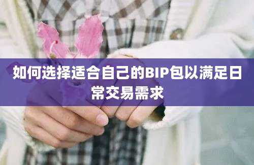 如何选择适合自己的BIP包以满足日常交易需求