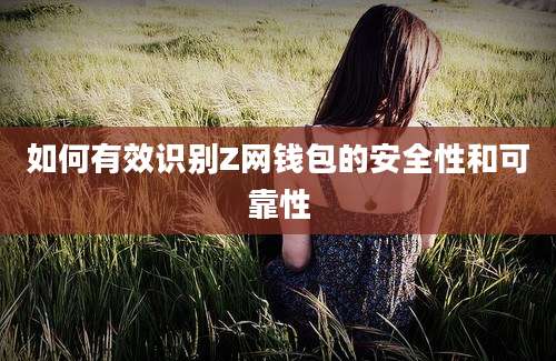 如何有效识别Z网钱包的安全性和可靠性