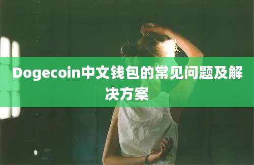 Dogecoin中文钱包的常见问题及解决方案