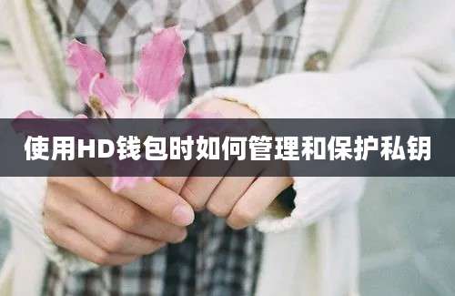 使用HD钱包时如何管理和保护私钥