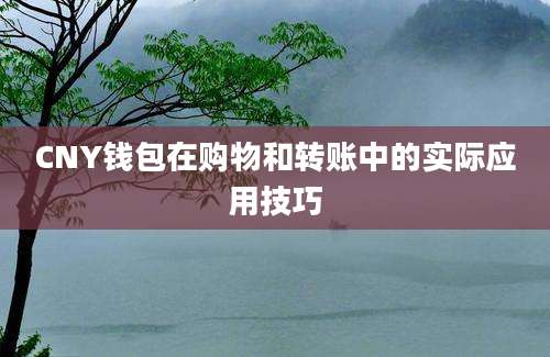 CNY钱包在购物和转账中的实际应用技巧