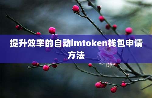 提升效率的自动imtoken钱包申请方法