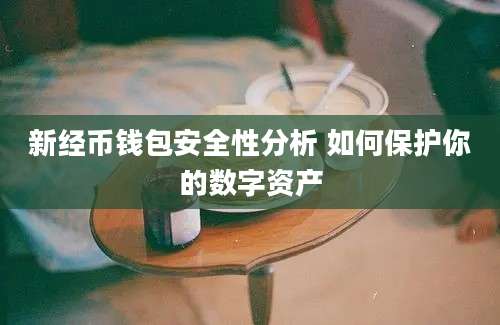 新经币钱包安全性分析 如何保护你的数字资产