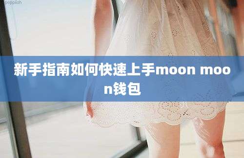 新手指南如何快速上手moon moon钱包