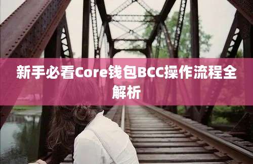 新手必看Core钱包BCC操作流程全解析