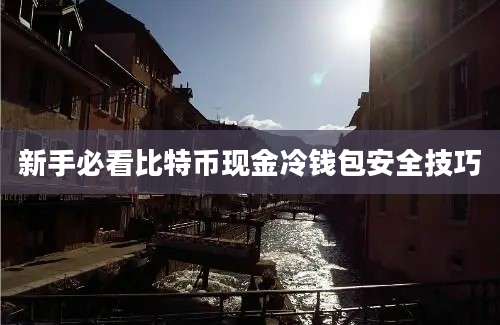 新手必看比特币现金冷钱包安全技巧