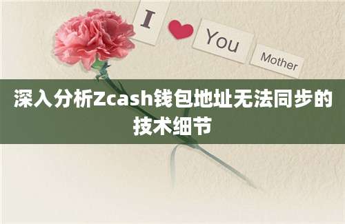 深入分析Zcash钱包地址无法同步的技术细节