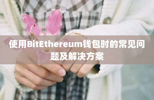 使用BitEthereum钱包时的常见问题及解决方案