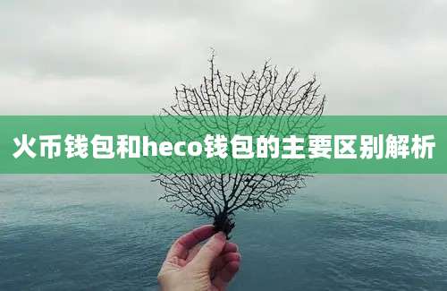 火币钱包和heco钱包的主要区别解析