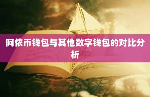 阿侬币钱包与其他数字钱包的对比分析