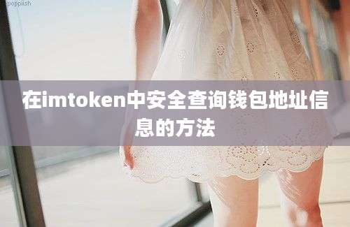 在imtoken中安全查询钱包地址信息的方法