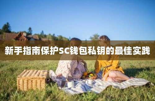 新手指南保护SC钱包私钥的最佳实践