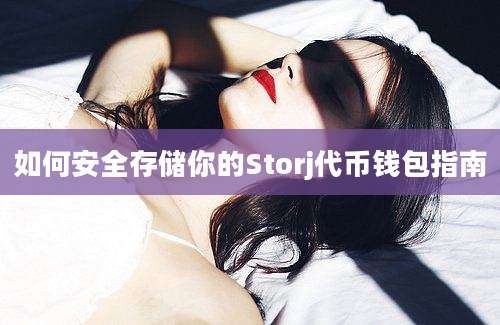 如何安全存储你的Storj代币钱包指南