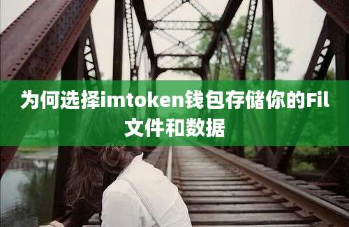 为何选择imtoken钱包存储你的Fil文件和数据