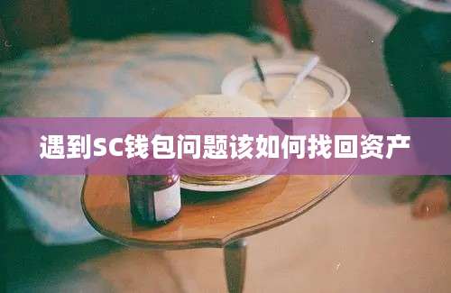 遇到SC钱包问题该如何找回资产