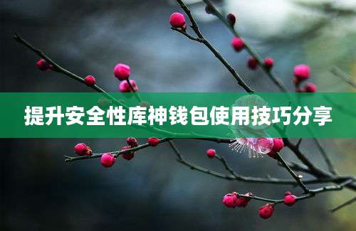 提升安全性库神钱包使用技巧分享