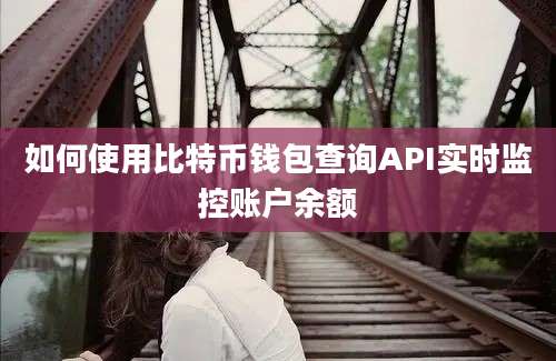 如何使用比特币钱包查询API实时监控账户余额